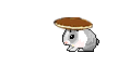 bunny